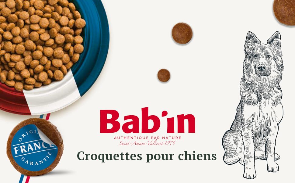 CROQUETTES POUR CHIEN BAB'IN