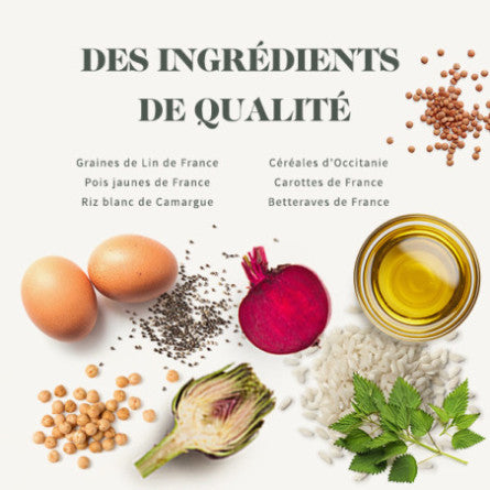 BAB'IN SIGNATURE Maxi Adulte - Poulet 12KG