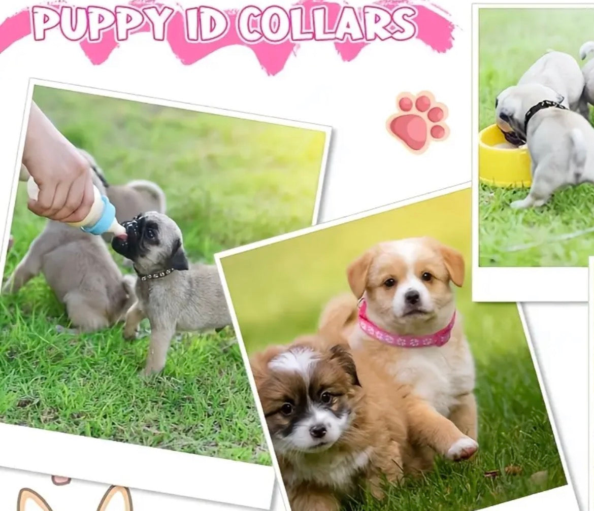 Collier Pour Chiot