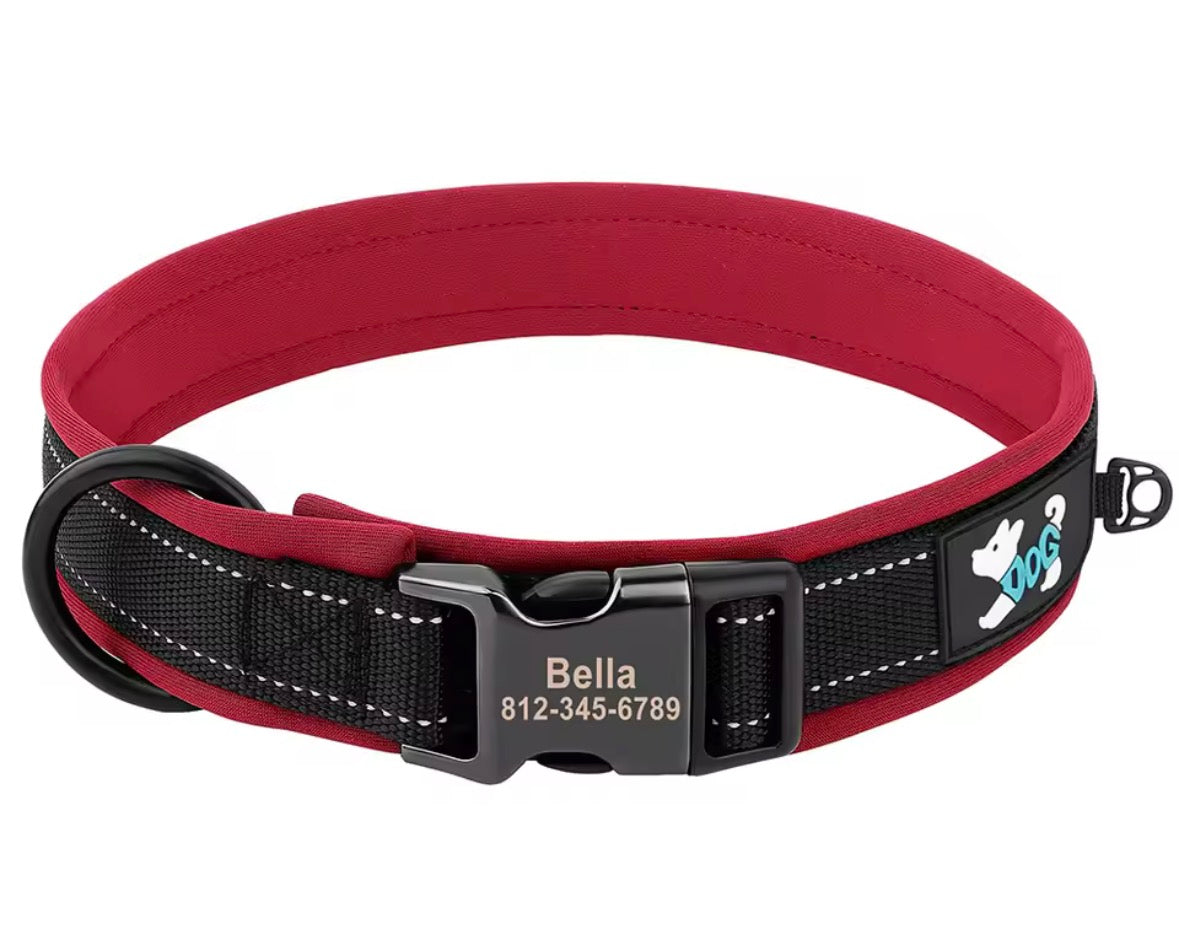 Collier pour chien Rembourré et Confortable Taille S