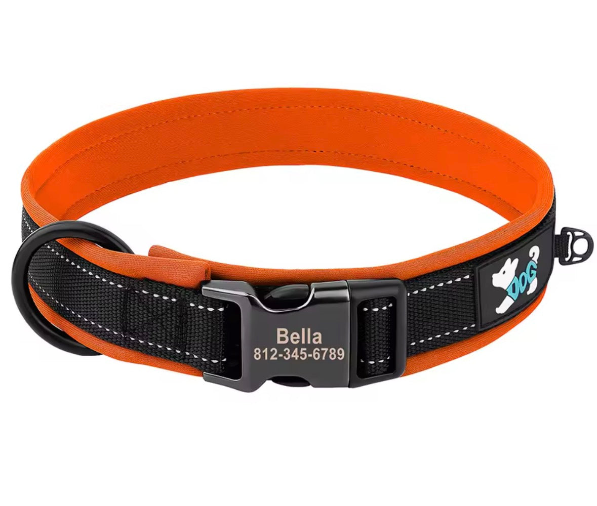 Collier pour chien Rembourré et Confortable Taille S