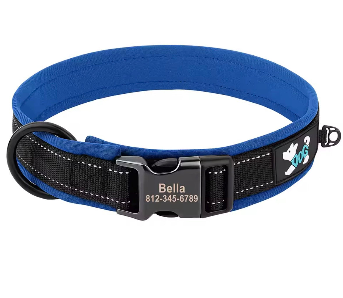 Collier pour chien Rembourré et Confortable Taille S
